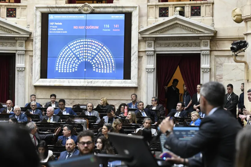 Sesión clave en Diputados por la emergencia en discapacidad y jubilaciones