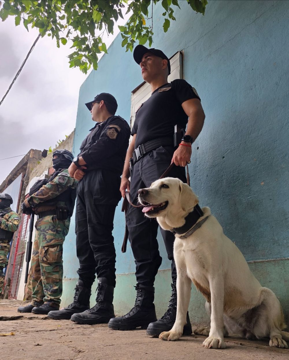 Allanamientos simultáneos en dos barrios correntinos en la búsqueda de esclarecer delitos