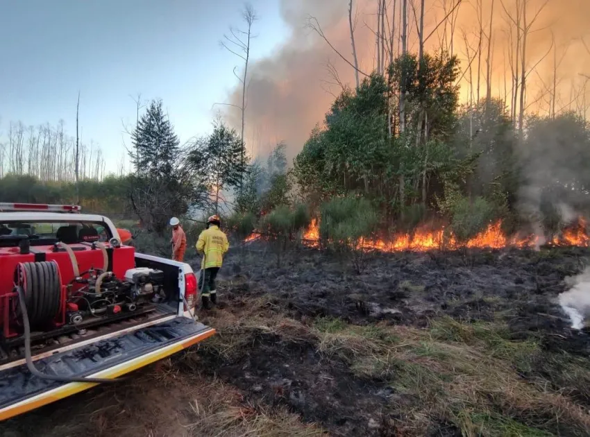 Salud Pública recomienda cuidados ante alerta por incendios