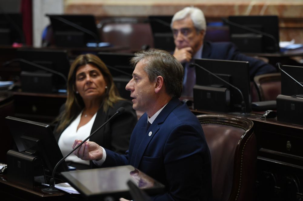 Vischi: “Tenemos que pensar en el crecimiento del país”